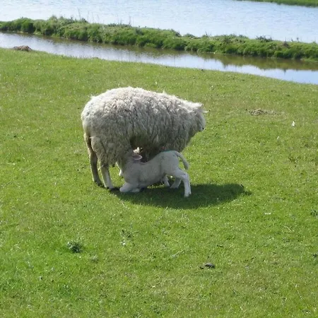 Pellworm In Haus Halligblick Tatil Evi