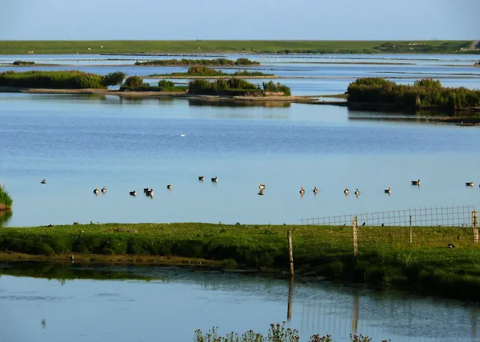 Vakantiehuis Pellworm In Haus Halligblick *