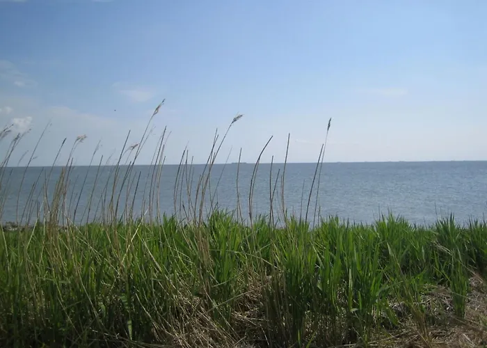 Vakantiehuis Pellworm In Haus Halligblick